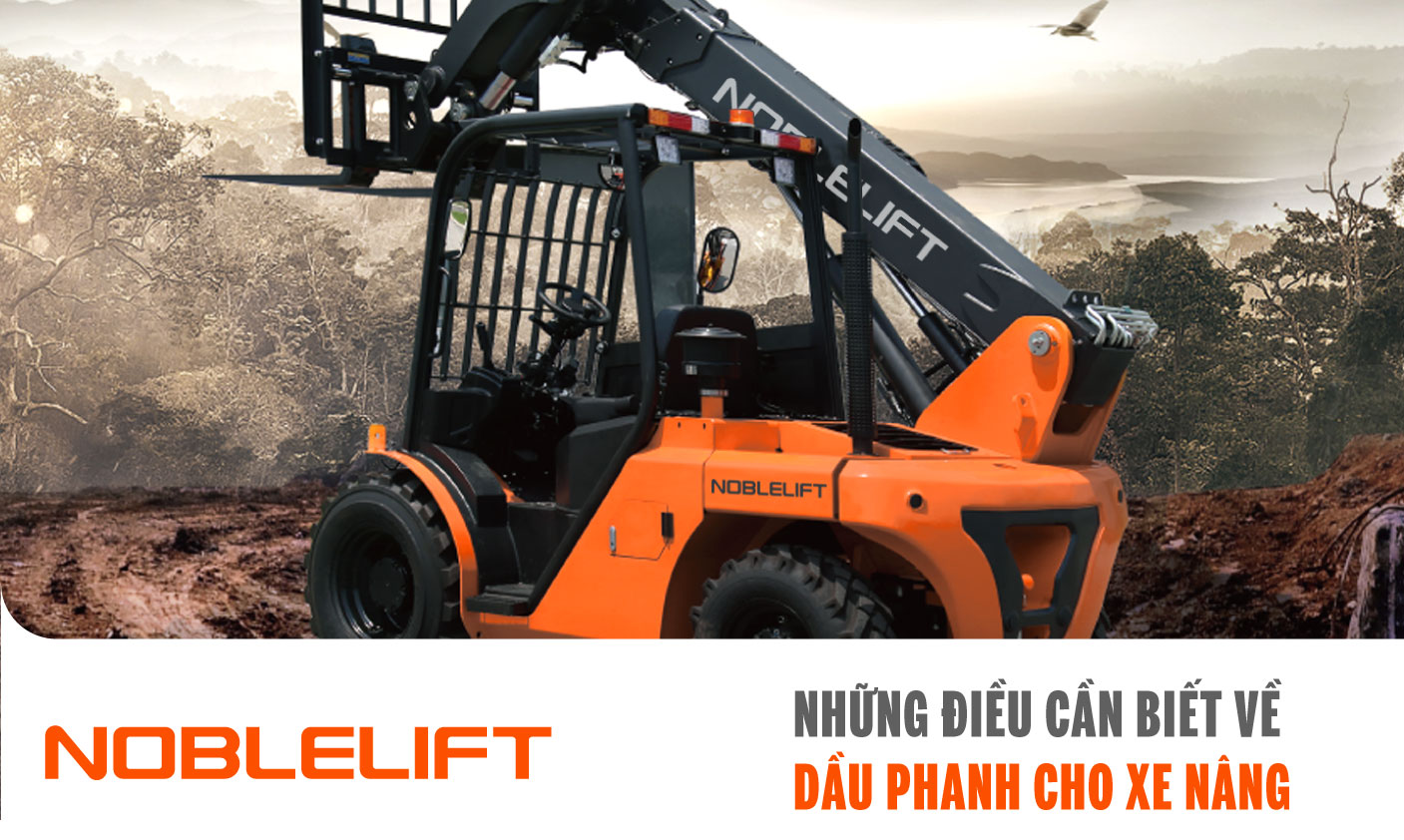 dầu phanh xe nâng