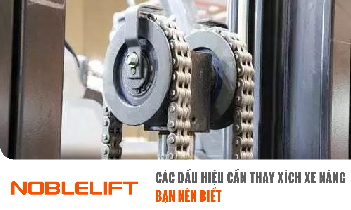 Dây xích xe nâng pallet truck noblelift