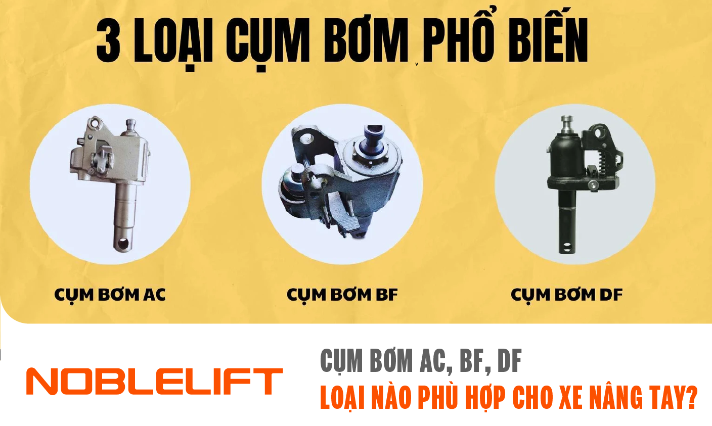3 loại cụm bơm thông dung AC, BF, DF cho xe nâng tay
